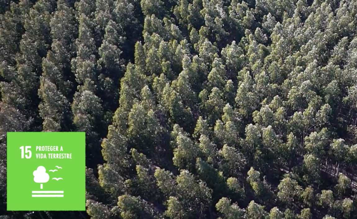 Proteger a Vida Terrestre