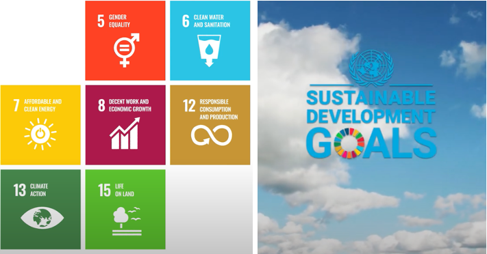 Altri and the UN SDG