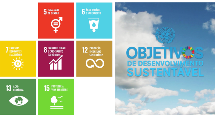 A Altri e os ODS da ONU