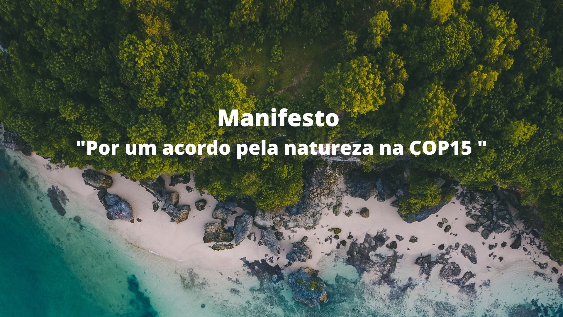 The Altri Group signed the BCSD Portugal Manifesto For an agreement for Nature at COP15