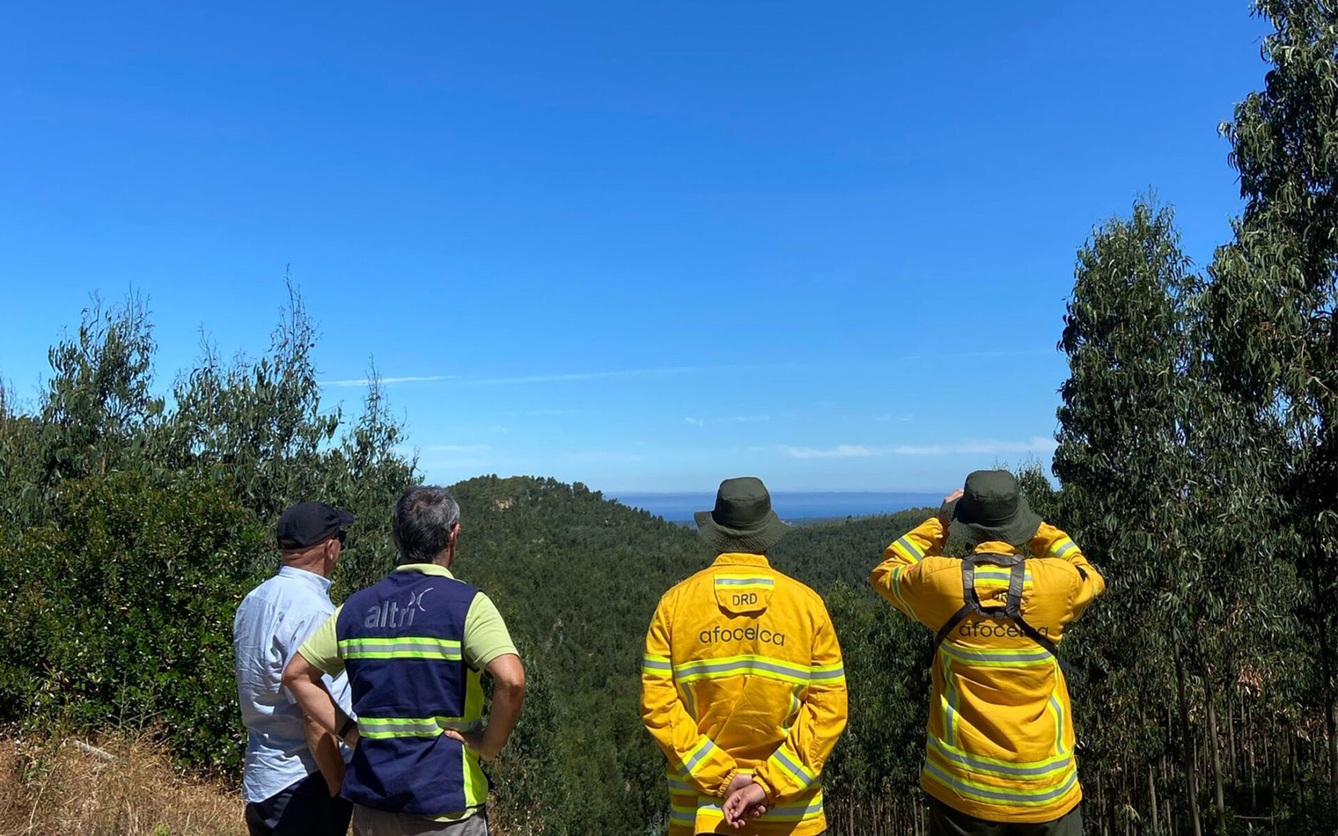 Como é que as relações humanas sustentam o futuro da floresta?